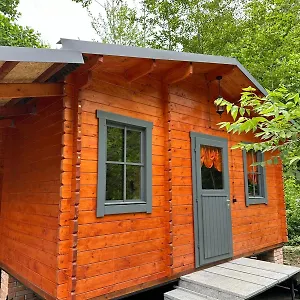 Dream House Дом отдыха