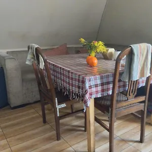 Everyday Cat Hostel
